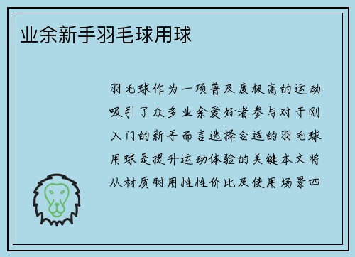业余新手羽毛球用球